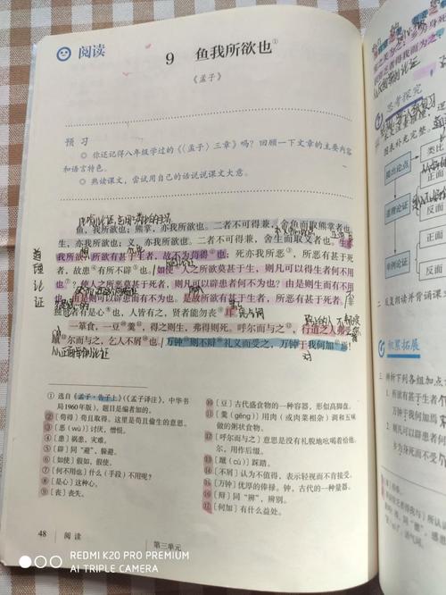 九年级下册语文第九课讲了什么？