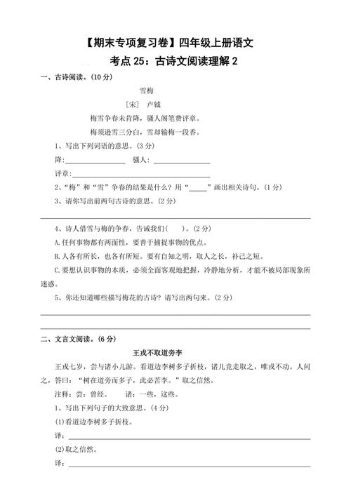 古诗词阅读专项检测卷如何高效备考？