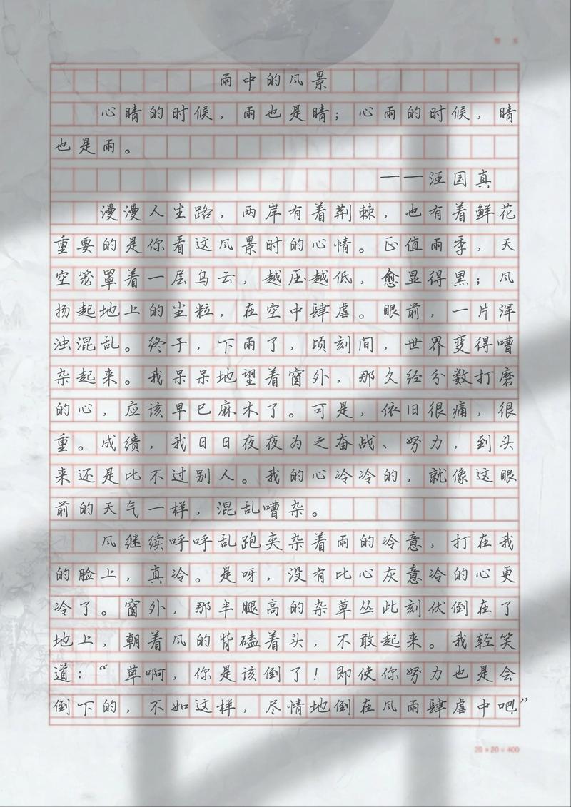 风雨中，该以何姿态前行？