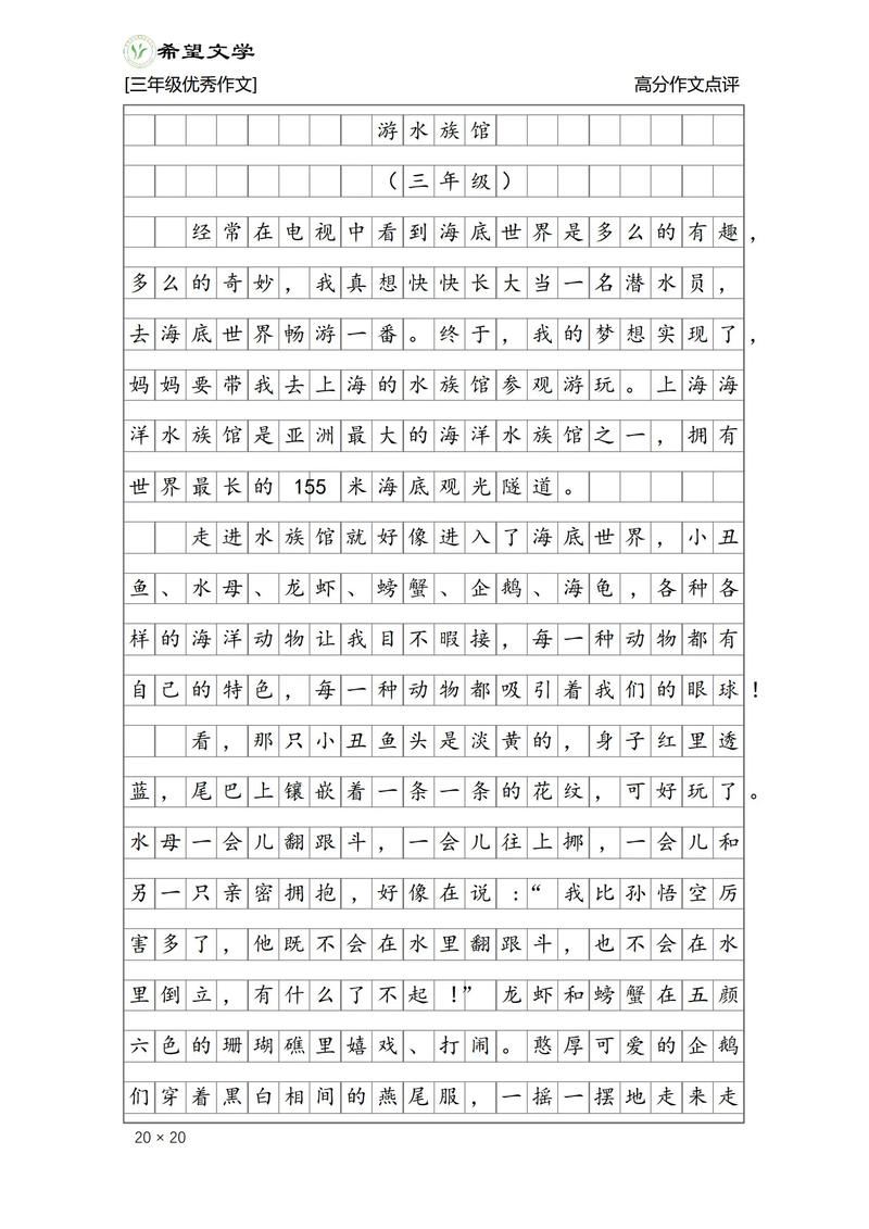 洄游之路，是归途还是命运的迁徙？