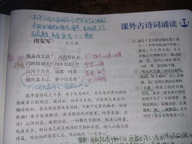 九下课外古诗词有哪些重点考点？