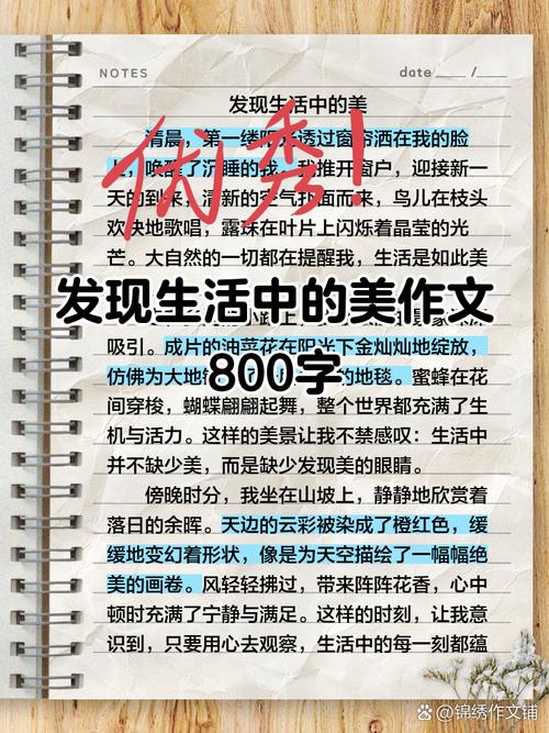 我发现也美丽作文