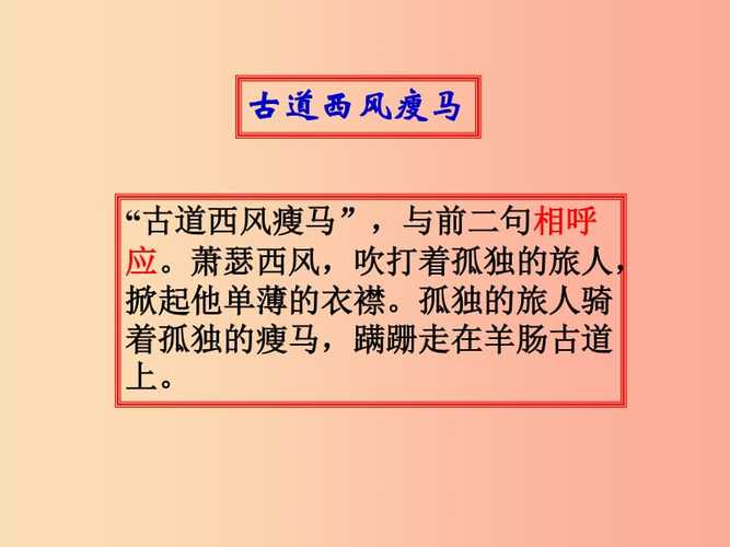 八年级下册苏教版语文重点难点解析？