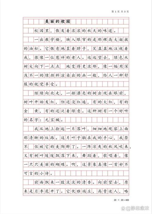 分享为何也美丽？