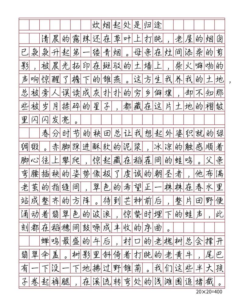 安徽高考14作文