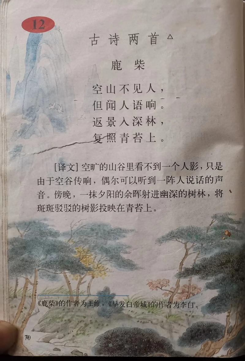 七年级上册苏教版语文重点难点解析？