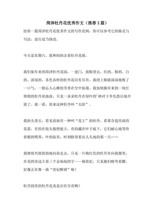 菏泽中考满分作文有何秘诀?