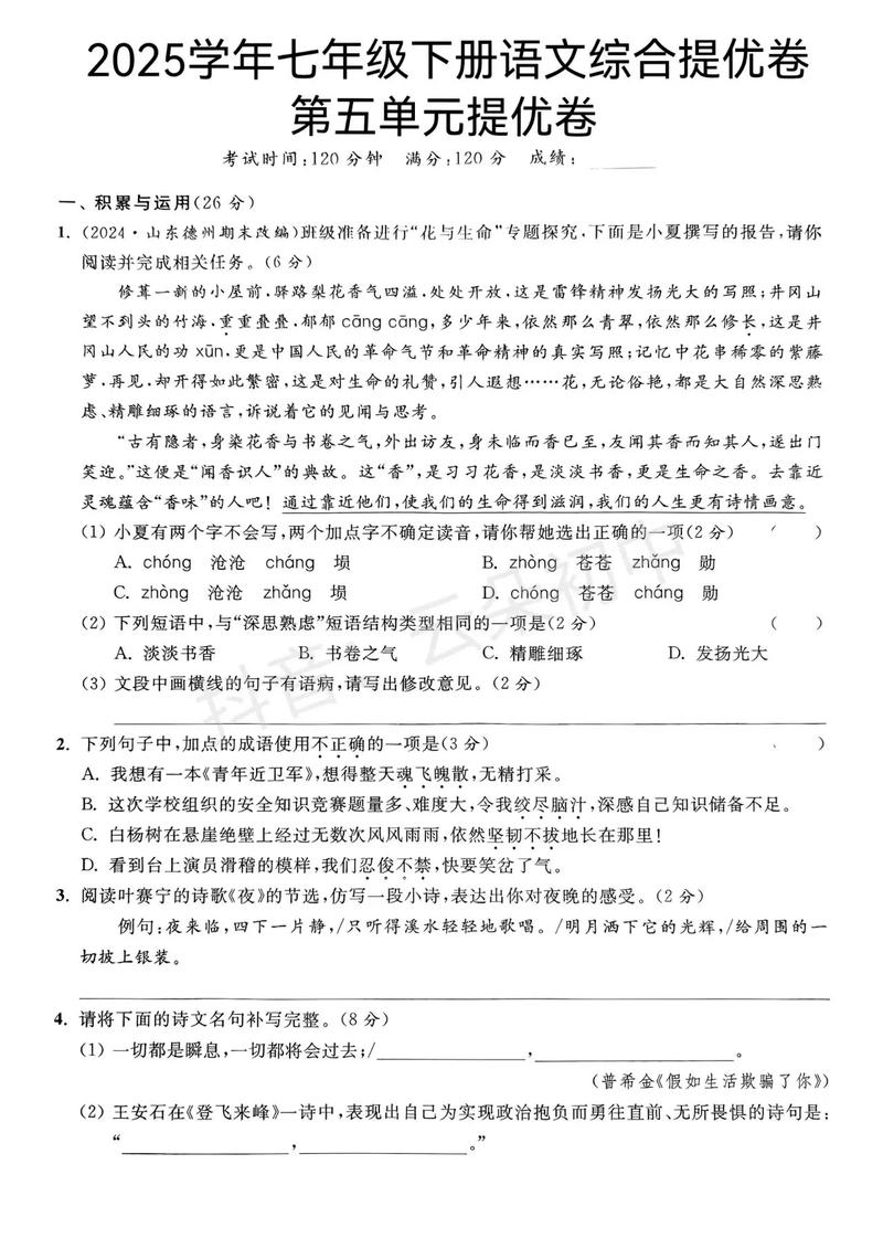 2025年七年级语文