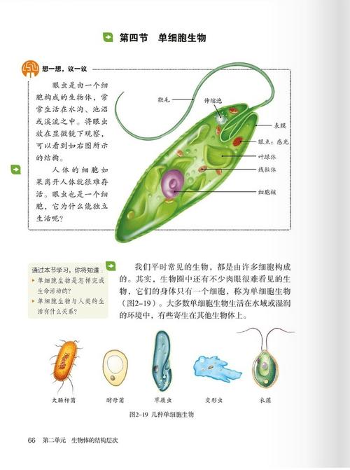 七年级生物人教版重点难点解析？