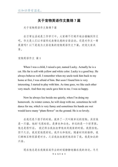 宠物看法英语作文该怎样写?