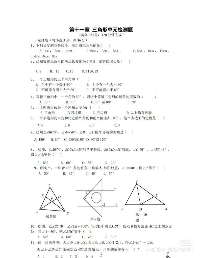 八年级上册三角形卷子