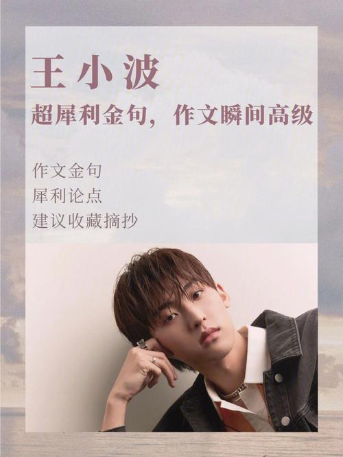 王小波 作文素材