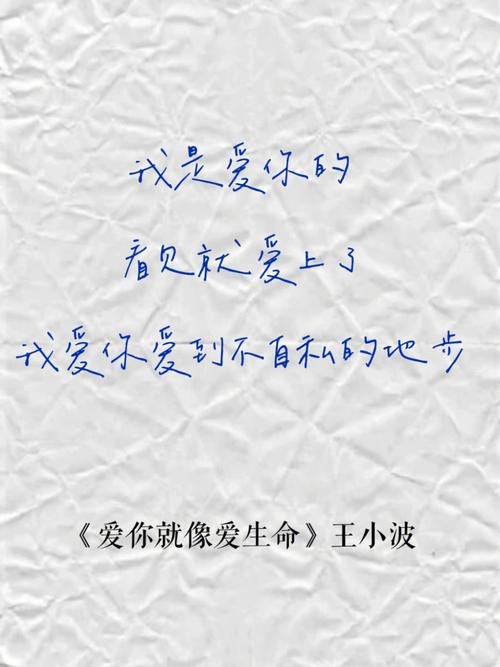 王小波 作文素材