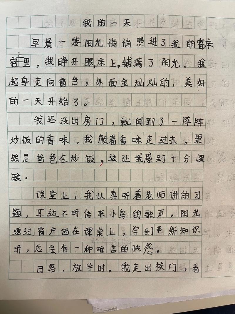 初一作文我的一天