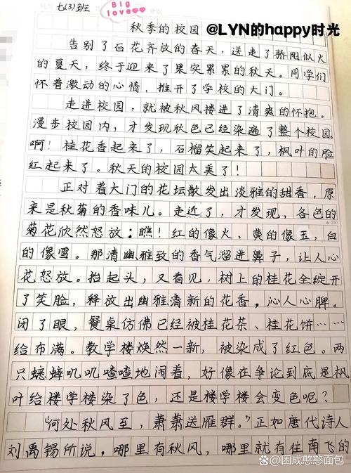 初中校园作文，如何写出独特记忆与成长？