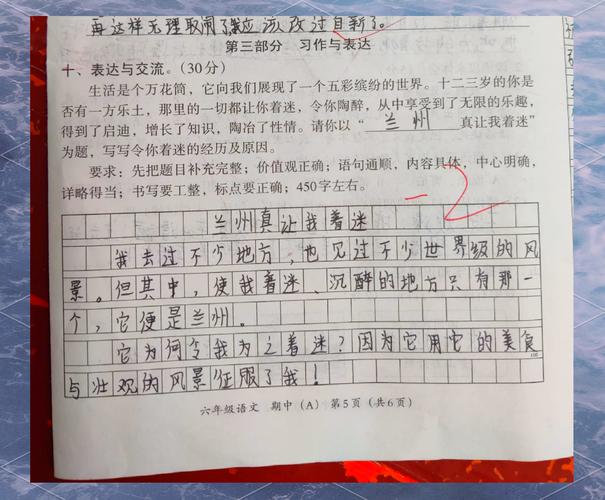 兰州中考作文题为何引热议？