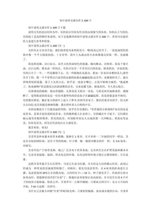 中学说明文作文如何写好?