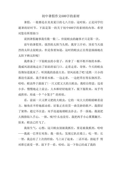 我的暑假作文初中