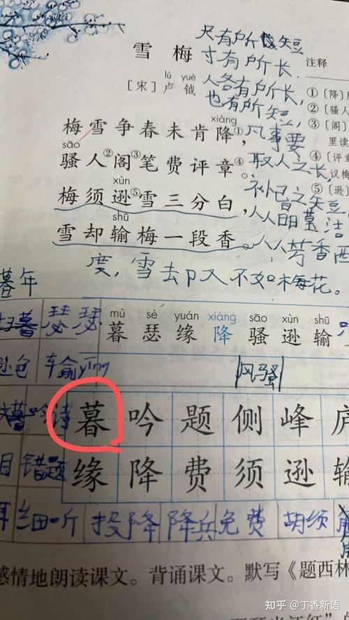 七年级下册语文错别字为何频发？