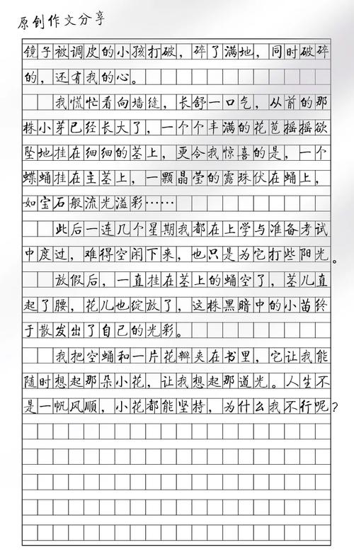 美丽的意外 作文