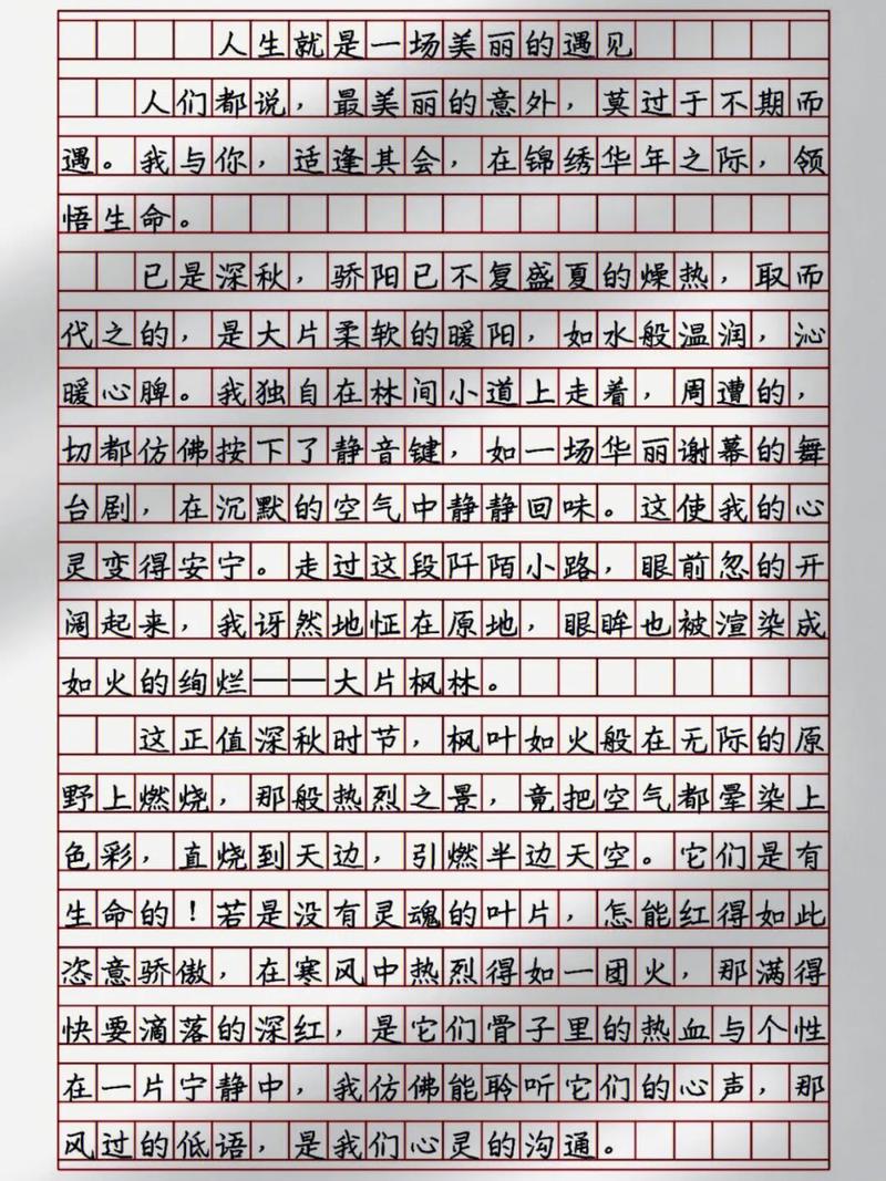 美丽的意外 作文