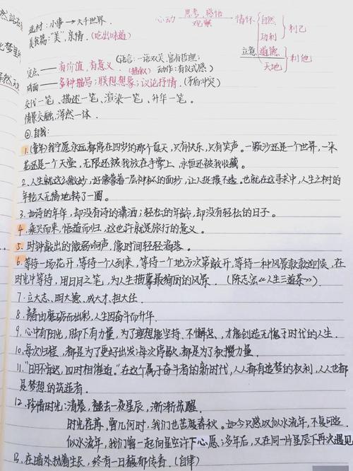 初中中考总结作文