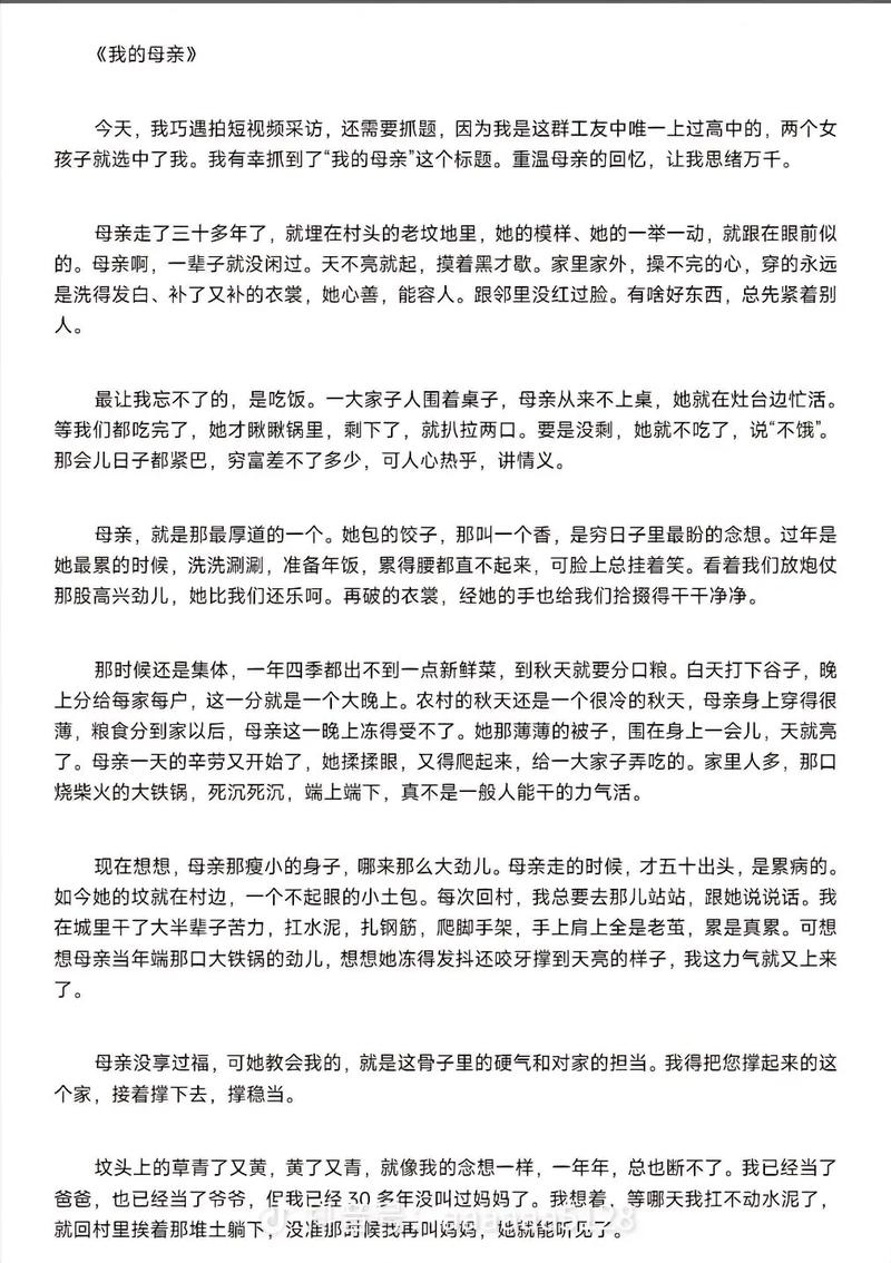 高考满分作文母亲