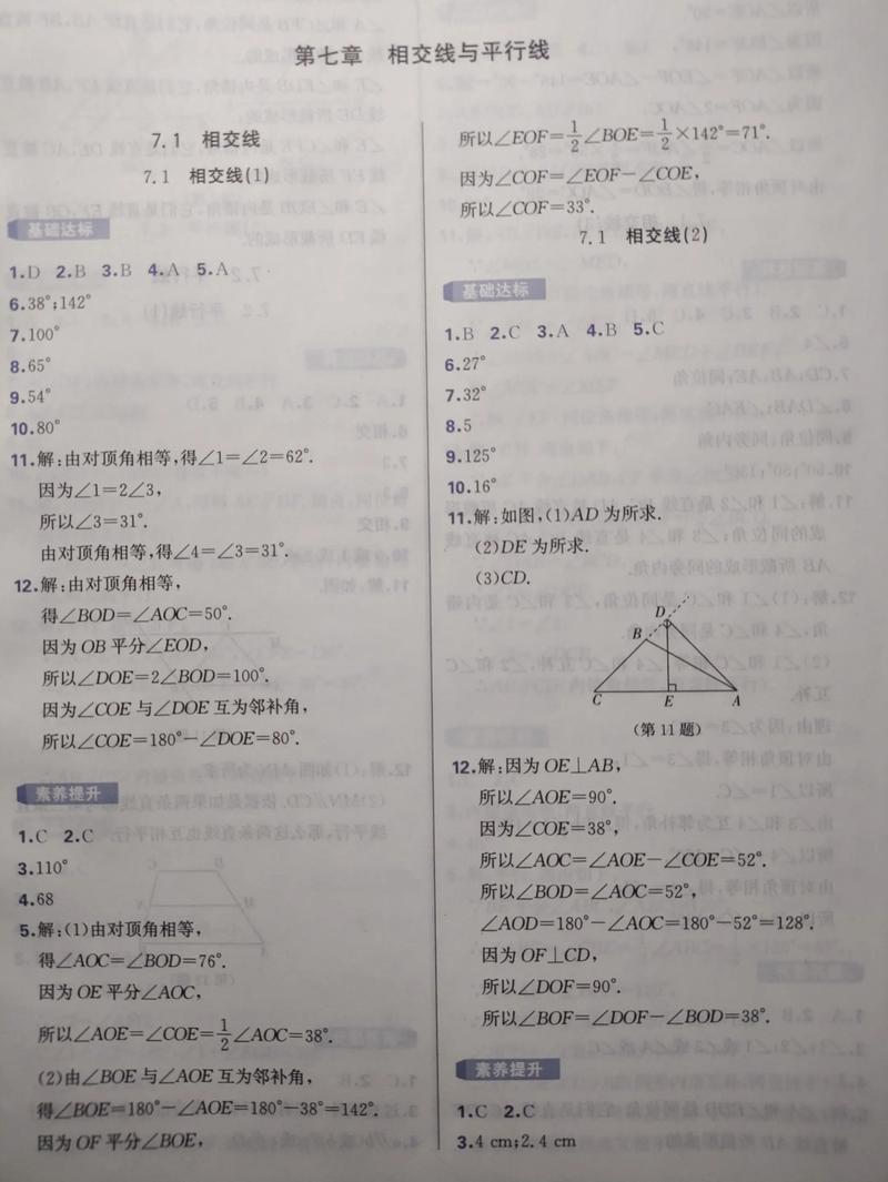 七年级数学作业答案集正确吗？