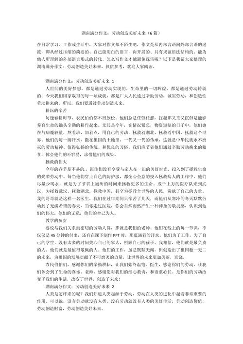 2008湖南作文题是什么？