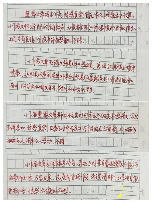 满分作文如何炼成？评语藏着哪些高分密码？