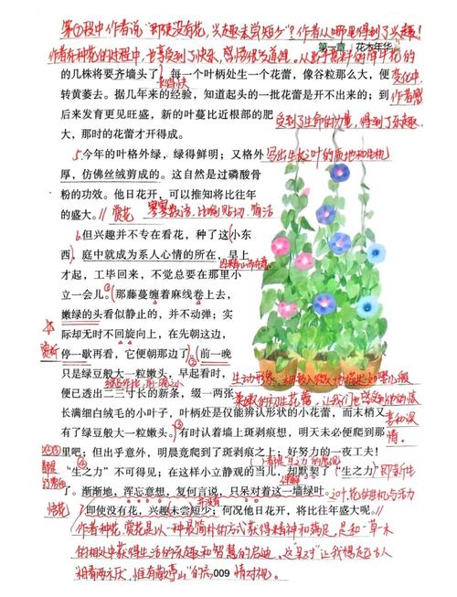 四年级牵牛花阅读答案有哪些要点?