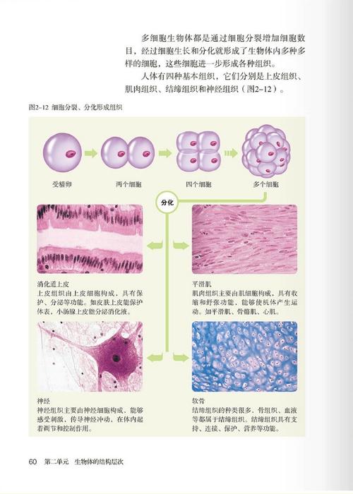 七年级上册生物书哪里能免费下载？