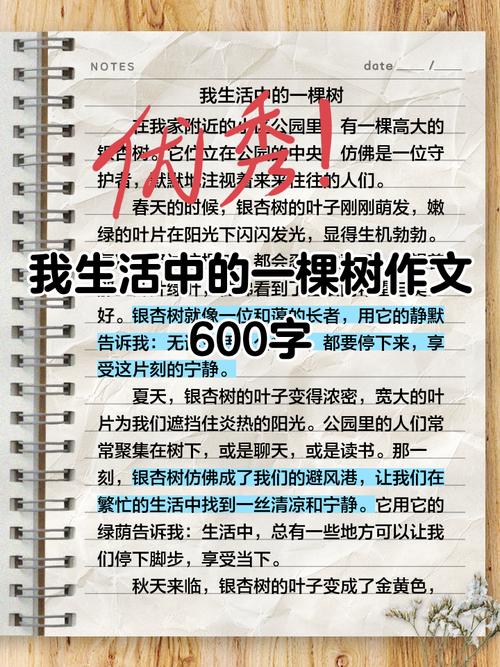 一棵树藏着怎样的生命故事？