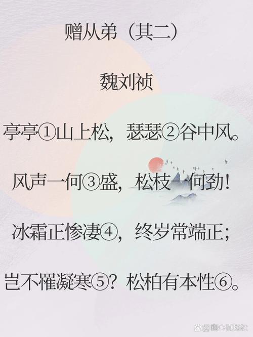 赠从弟八年级古诗有何深意?