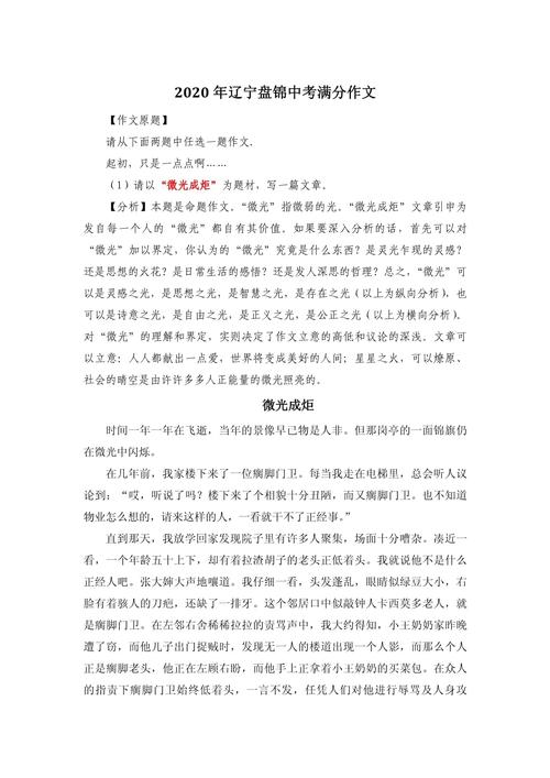 辽宁中考作文如何得满分？