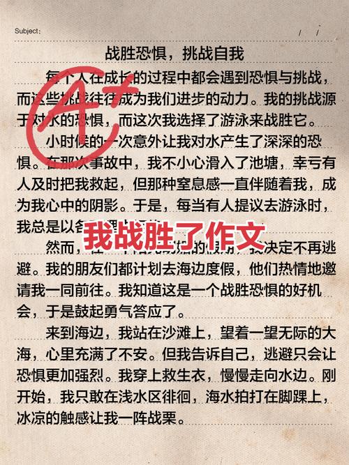 我征服了什么作文