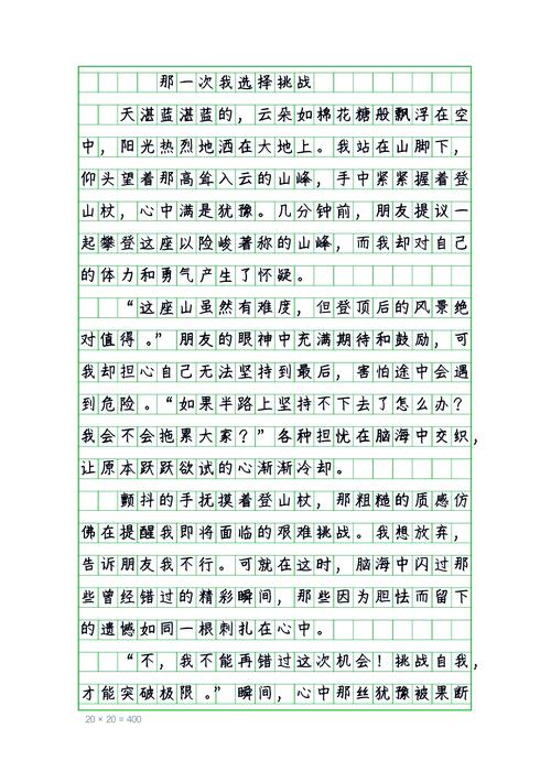 我征服了什么作文