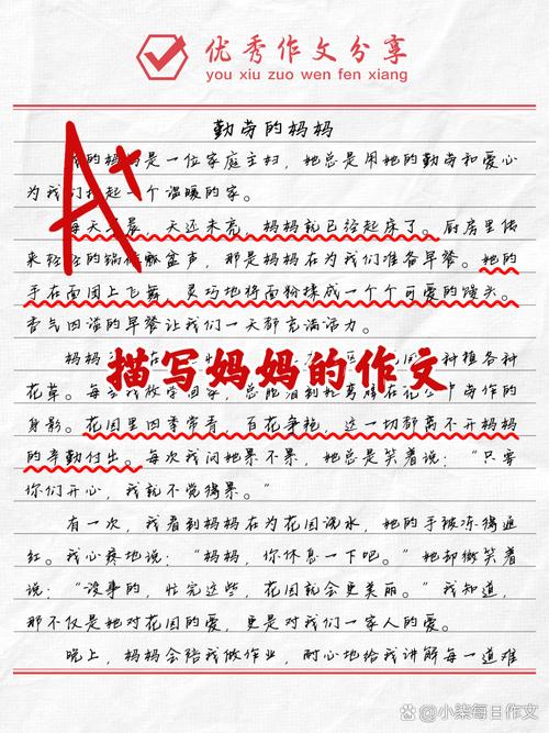 母亲细节作文,如何写出感人至深的力量?