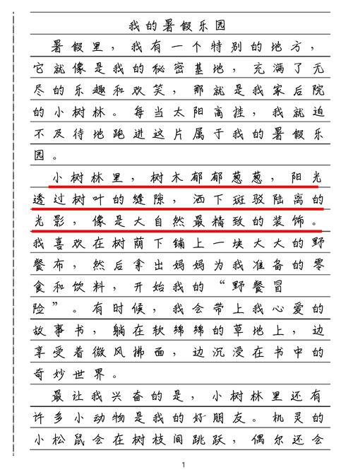 暑假的乐趣的作文