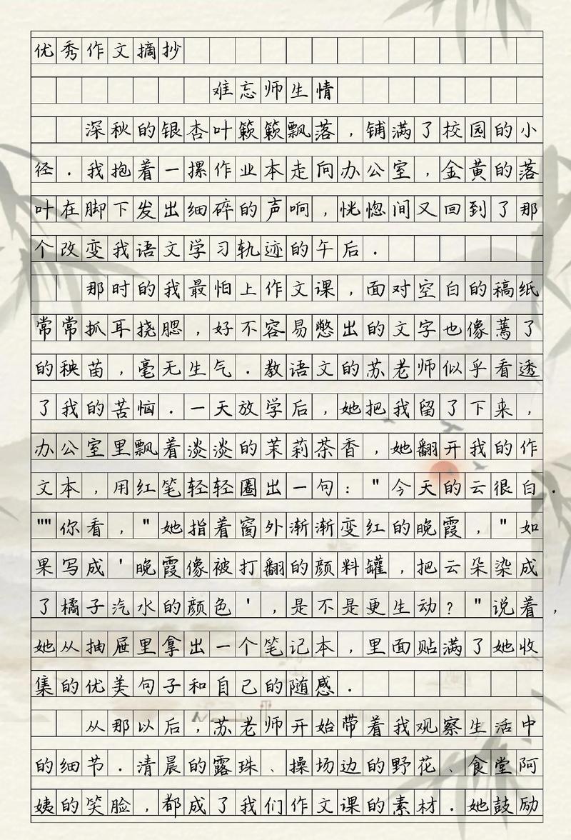 难忘的恩情的作文