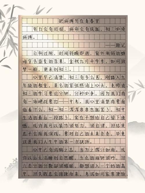 作文 拼搏 高考