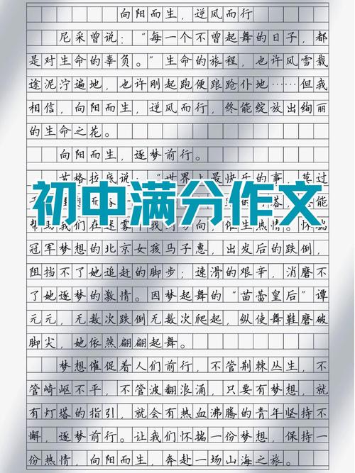 合格的中学生作文