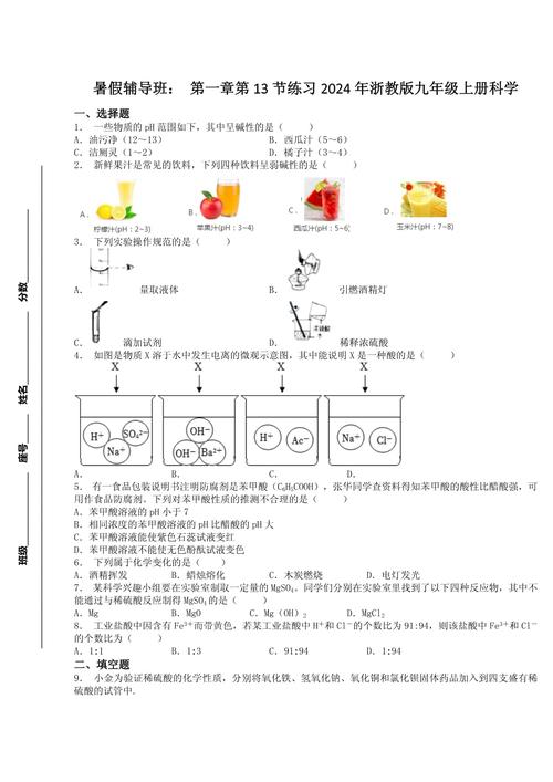 浙教版九年级科学上册