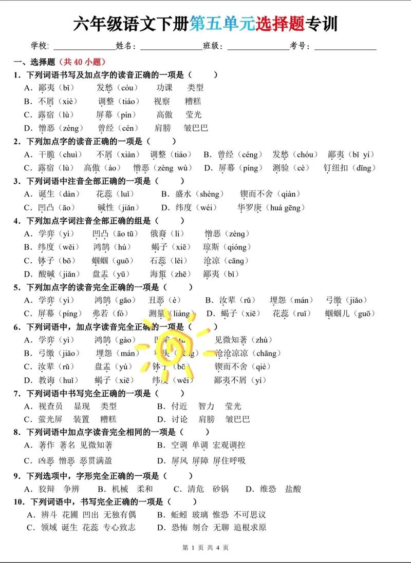 六年级语文选择题大全，如何高效掌握考点？