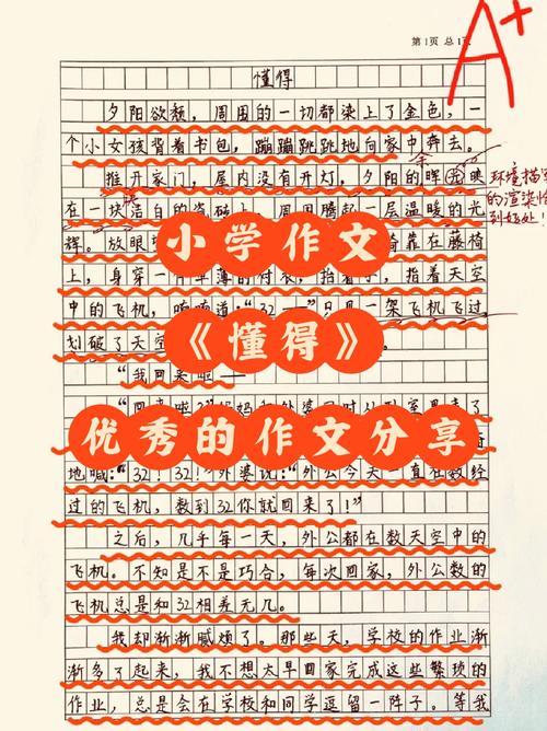 初二成长作文，藏着哪些青春故事？