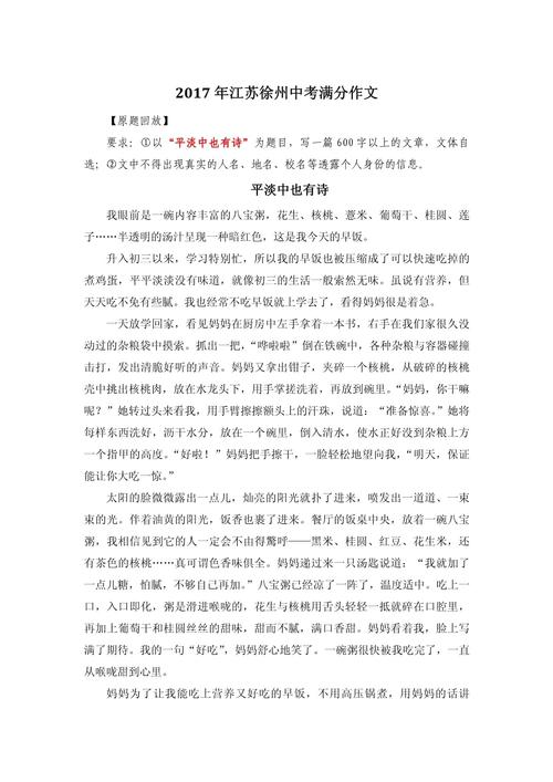 中考江苏满分作文