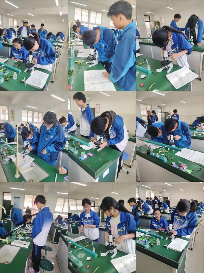 九年级理化生实验视频哪里看？