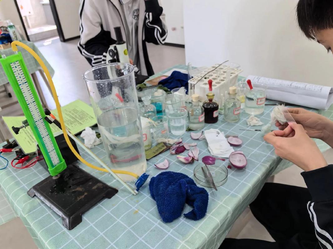 九年级理化生实验视频哪里看？