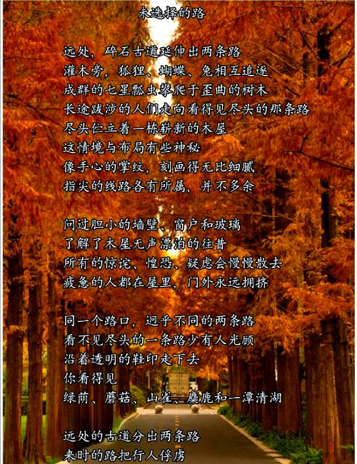 未选择的路，该如何书写人生作文？