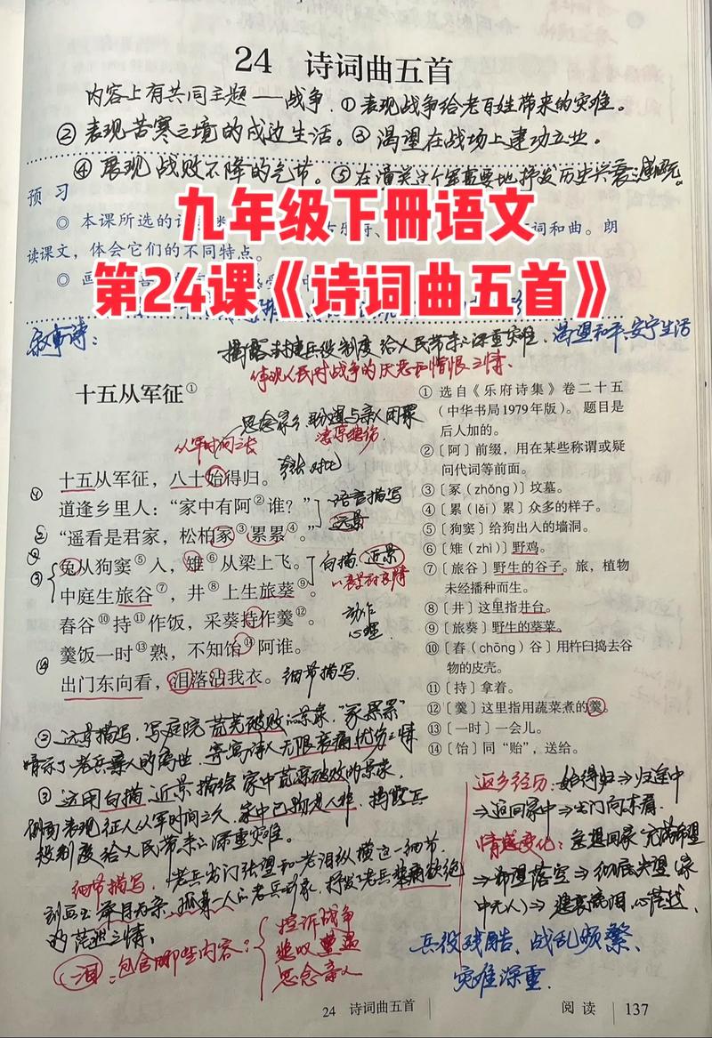 九下课外古诗文阅读如何高效备考？